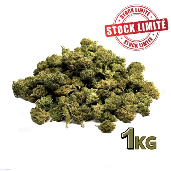 Déstockage 1KG SMALL BUD CBD