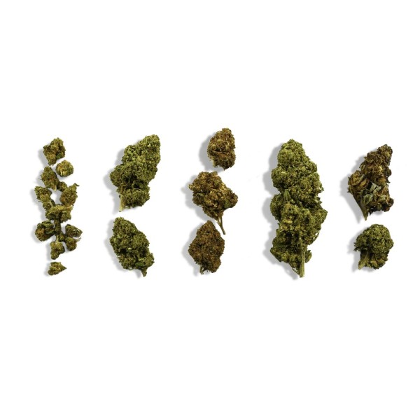 Coffret découverte débutant fleurs CBD